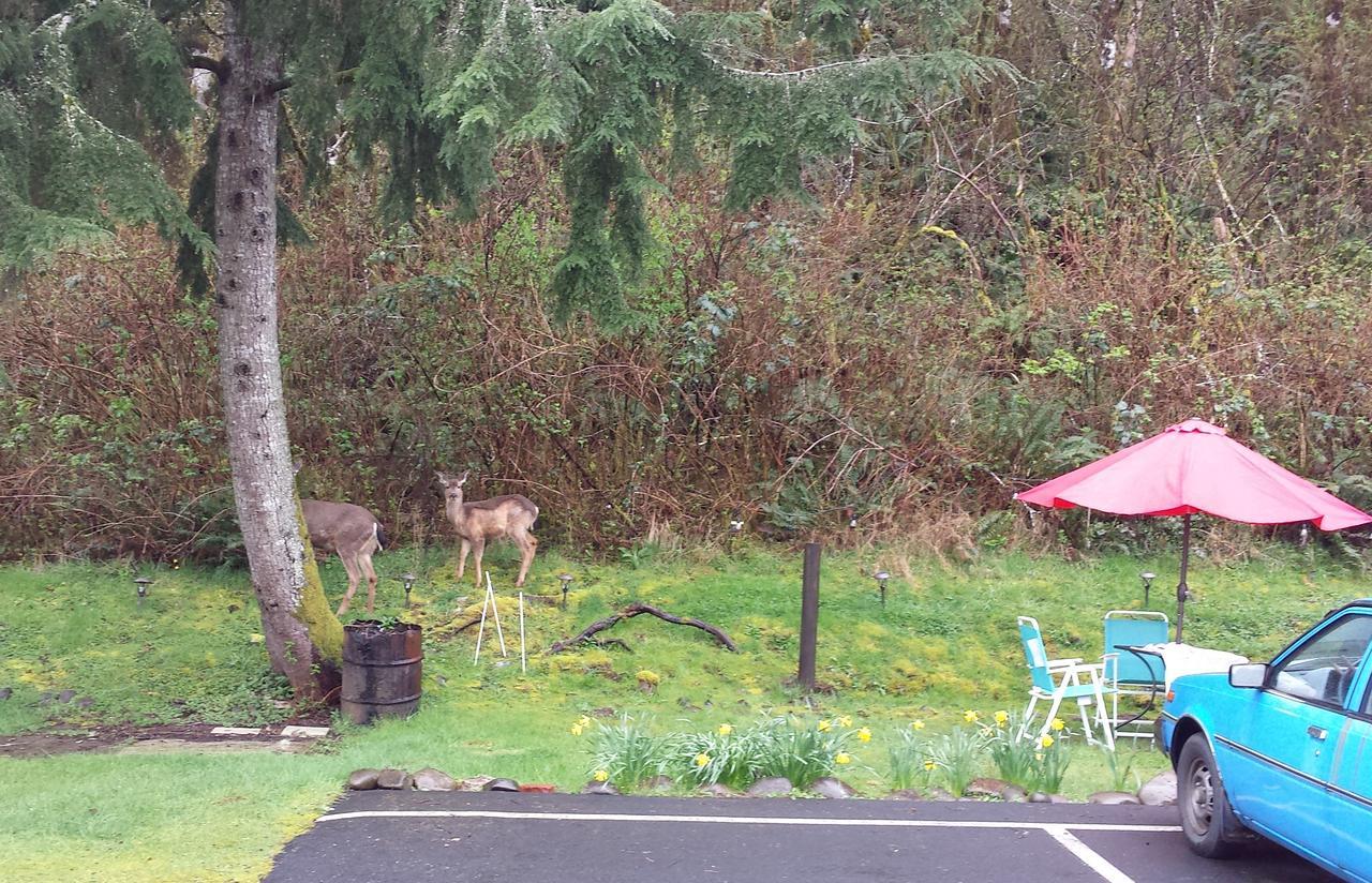 Hoquiam Shiny Motel מראה חיצוני תמונה